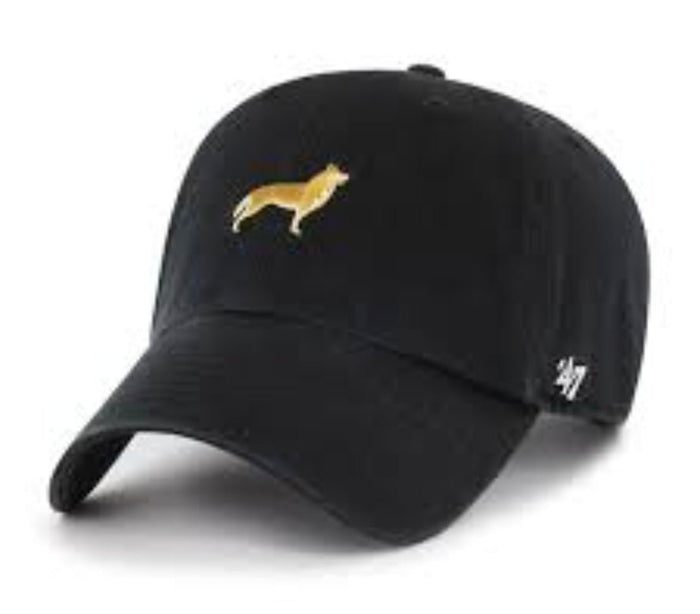 Gorra negra perro collie lassie 47 clean up - intershopgc - Tienda de gorras online - Maspalomas