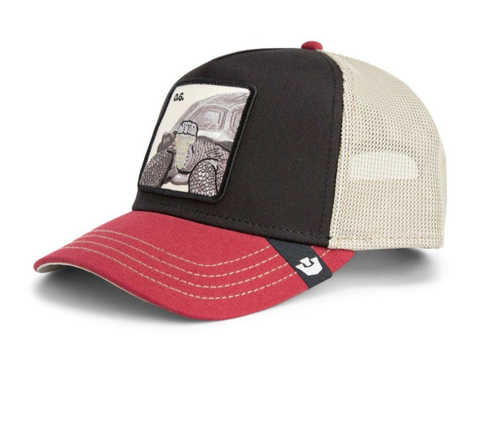 Gorras Trucker - Goorin Bros tricolor OG tortuga