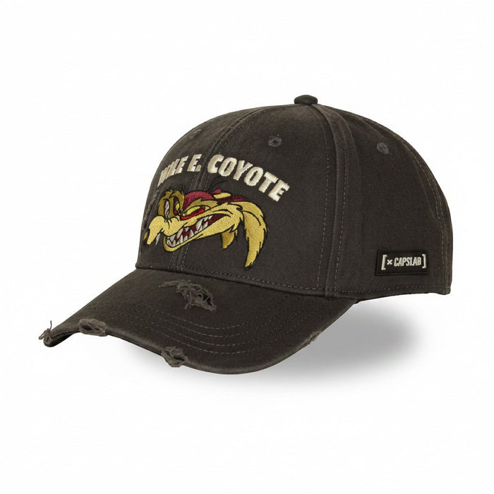 Gorras Trucker - Capslab Looney Tunes Coyote Negra LOO14 COY